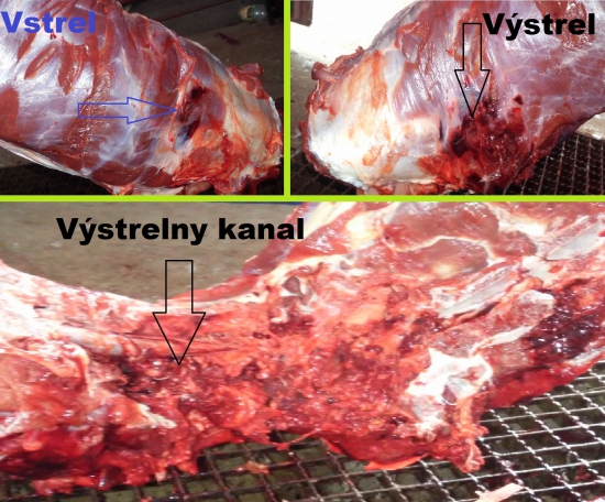 Norma Swift A-frame 10.7g-308W