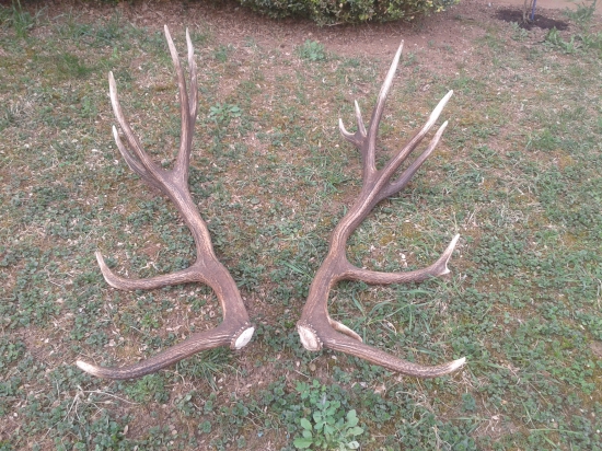 Uz su spolu, uz je im dobre.