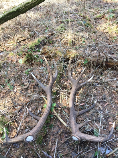 cca 300 m od seba...