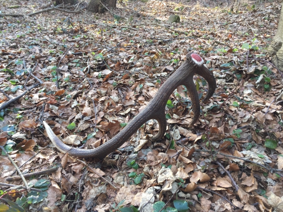 ...veľmi zaujímavý dvanástorák...