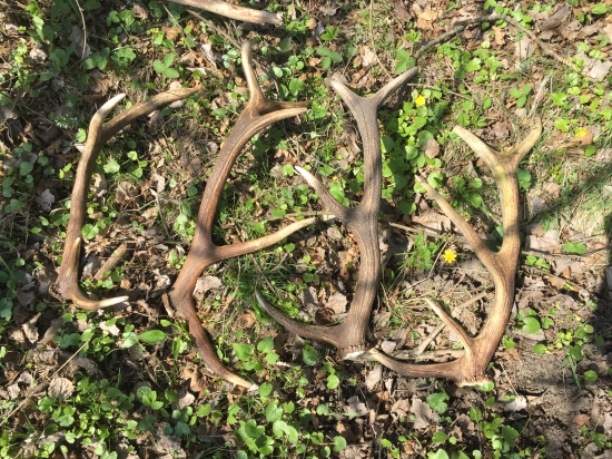 PP, alebo Pekny Pondelok:-)