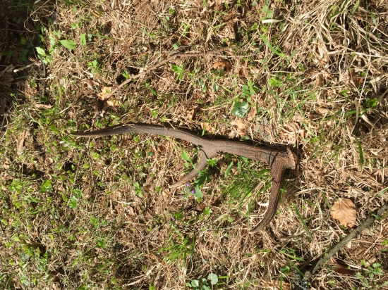 Nevadi ze je maly, hlavne ze je tenky:-)))