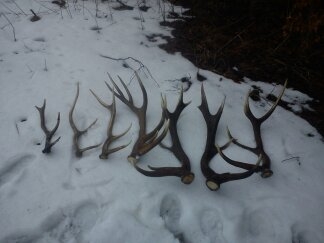 Dzisiejszy zbiór z Rafałem