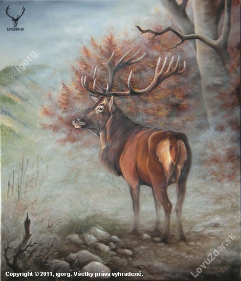 Ranný opar.