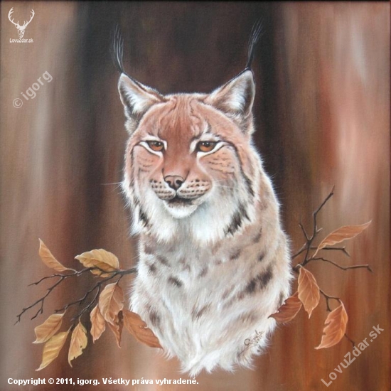 rys 50x50cm