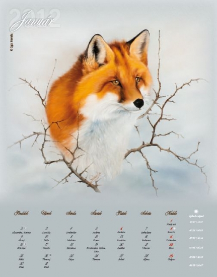 jedna strana kalendára