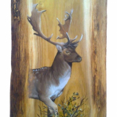 Daniel -olej na agátovej doske