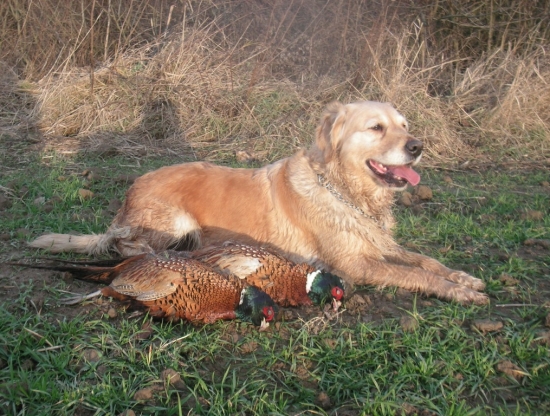 Po dobre vykonanej práci
