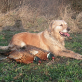 Po dobre vykonanej práci