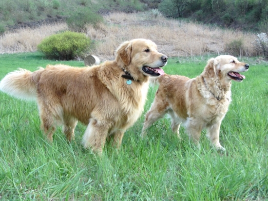 boli sme na zásnubách