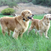 boli sme na zásnubách