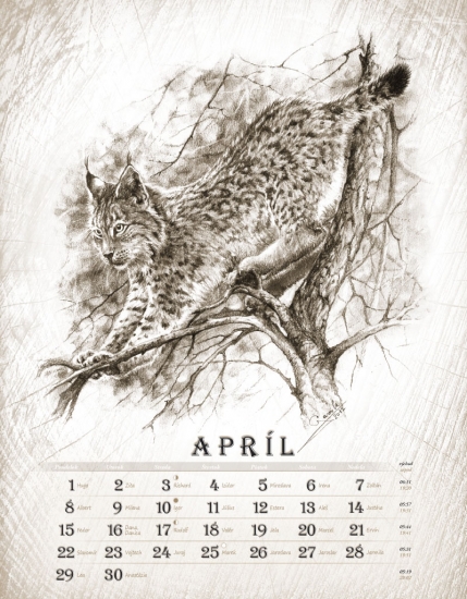 dalšia kresba do kalendára