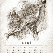 dalšia kresba do kalendára