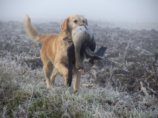 Super ráno a perfektná práca