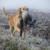 Super ráno a perfektná práca