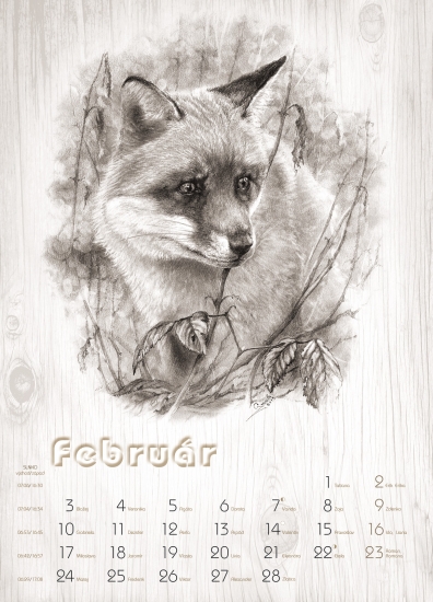 obrázok do kalendára na 2014