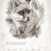 obrázok do kalendára na 2014