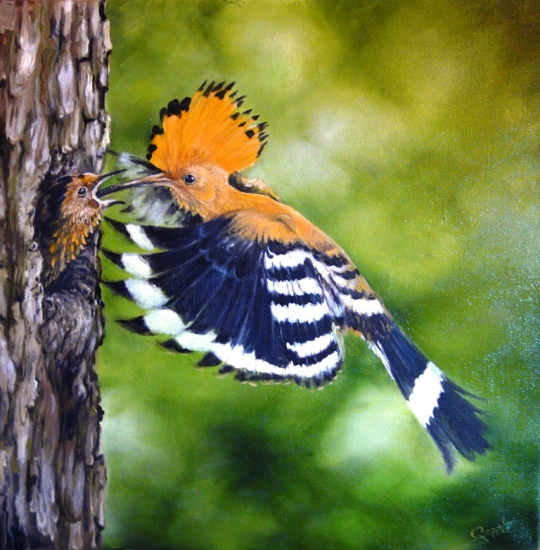 duduk olej na plátno