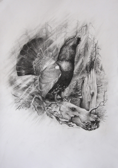 jeden do kalendára na 2016