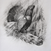 jeden do kalendára na 2016