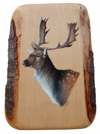 Daniel portrét -olej