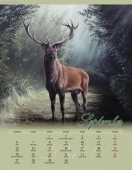 kalendar na rok 2010
