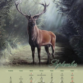 kalendar na rok 2010