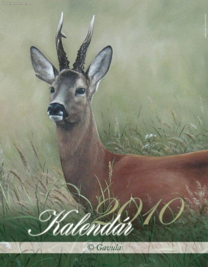 kalendar na rok 2010 titul.strana