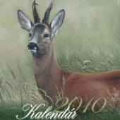 kalendar na rok 2010 titul.strana
