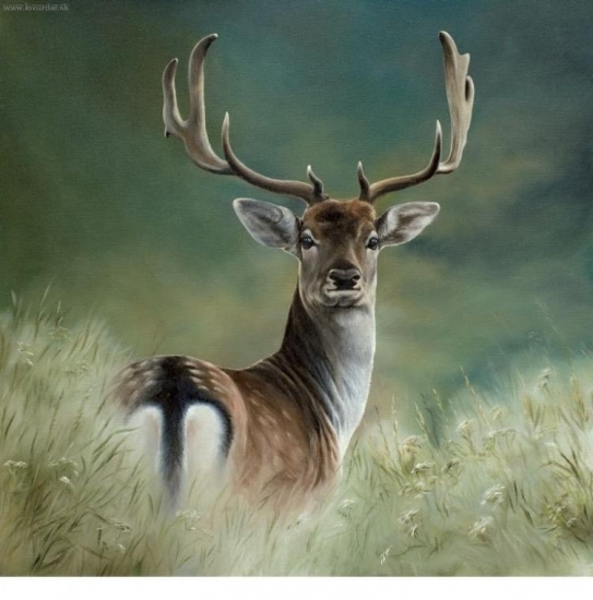 vareškár -celá séria týchto obrazov je z kalendára na rok 2010