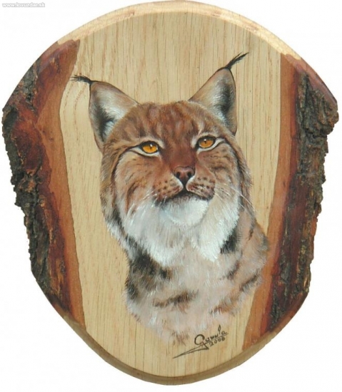 niečo z mojej tvorby ,už staršie