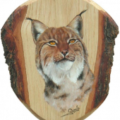 niečo z mojej tvorby ,už staršie