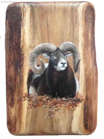 ležiaci muflóm 25x30cm