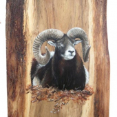 ležiaci muflóm 25x30cm