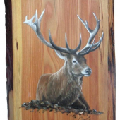 ležiaci jeleň 20x25cm