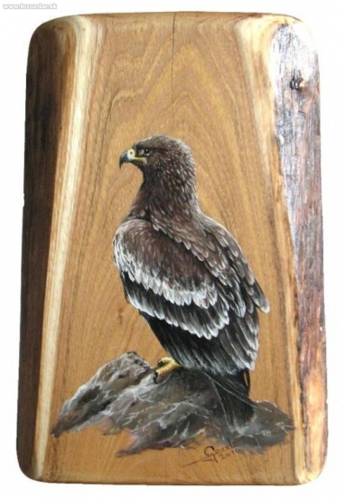 mladý orol -olej na drevo