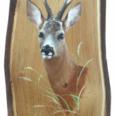 jeden z najnovších