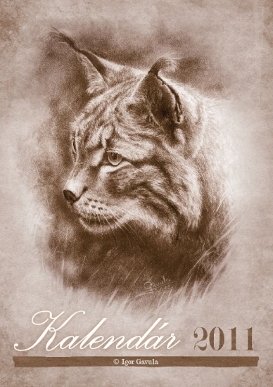 Kalendár na rok 2011