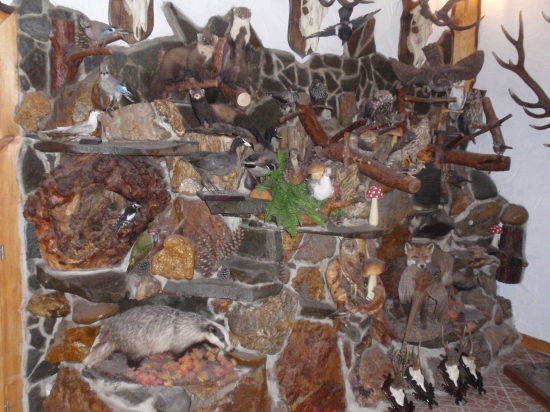 Výstavná miestnosť