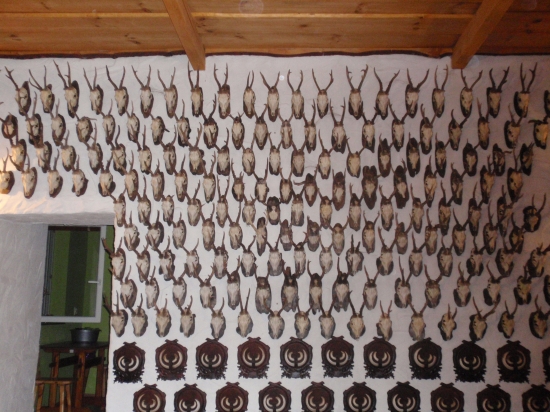 Výstavná miestnosť