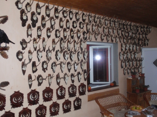 Výstavná miestnosť