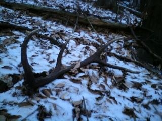 vlanajši najdeny dnes