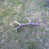 zhod o pol 2 na ceste