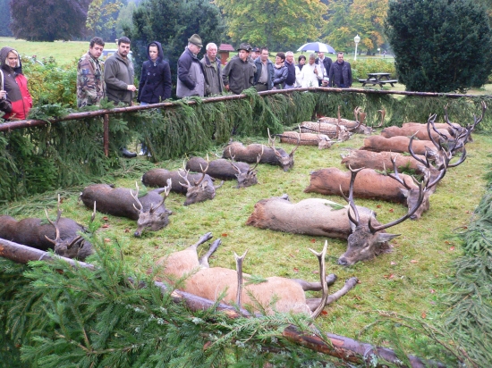 LZ KLadska