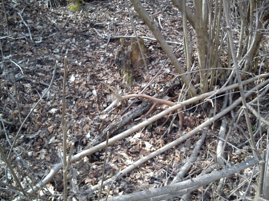 konecne sa ukazalo stastie ja na mna