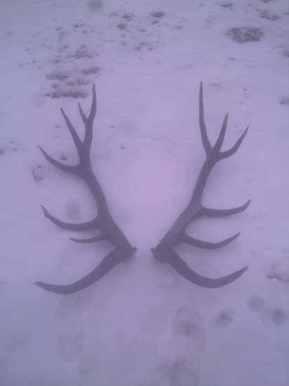 Jelen o 5.2 kg Ľahší