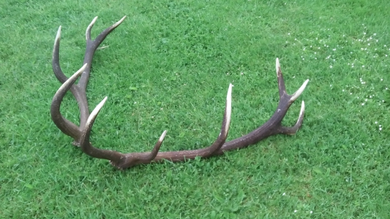 Strieborne zTužiny!