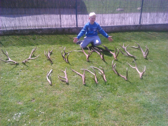 tohtoročna zbierka z Malinovej