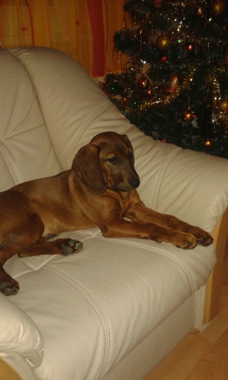 ares tomu zase šefuje na kresle