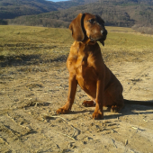ares